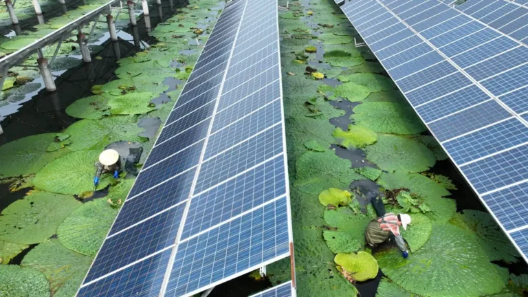 Powering the Always-On Lifestyle: Why Solar Energy Makes Sense in a Connected World Powering the Always-On Lifestyle Why Solar Energy Makes Sense in a Connected World